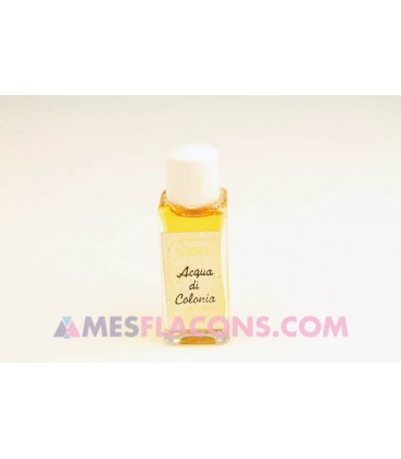 Gardenia