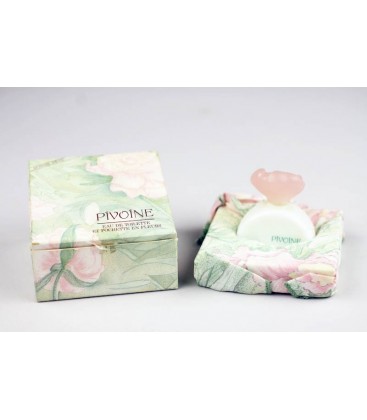 Pivoine - bonne fête