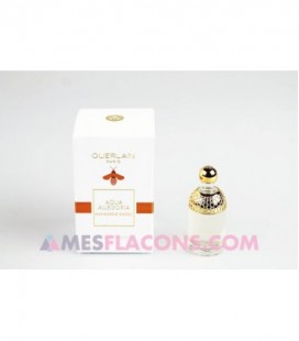 Aqua allegoria - Mandarine basilic